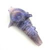 Alien Seashell