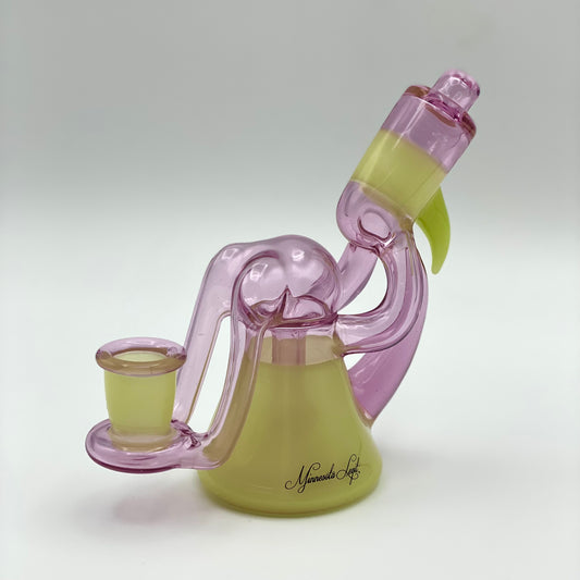 CFL Microscope Recycler Rig